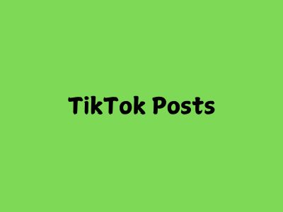 TikTok Posts